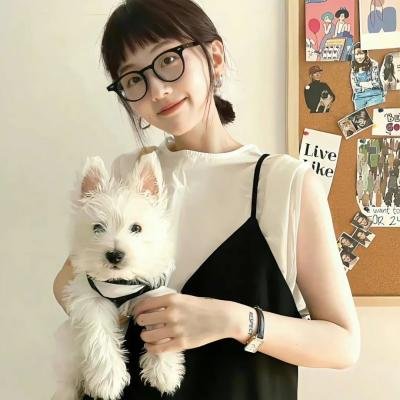 市委书记日记
